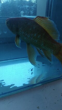 IMG_20201113_160657.jpg
