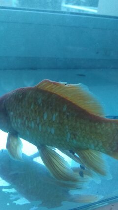 IMG_20201113_160724.jpg