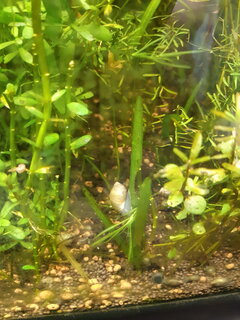 20201130_195802.jpg