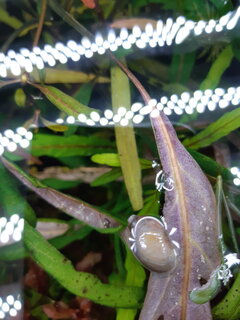 20201130_195704.jpg