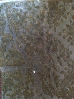 IMG_20201202_102516.jpg