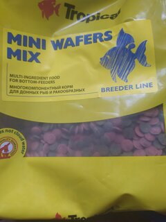 IMG_20201126_120437.jpg