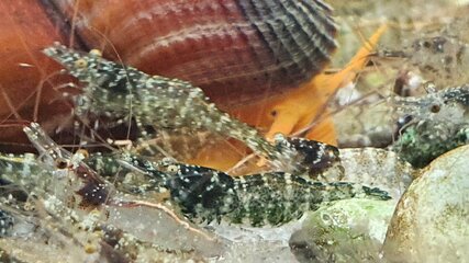 20201027_204428.jpg