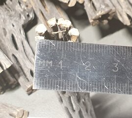 20210418_003343.jpg