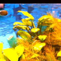 IMG_20210418_210249_643.jpg