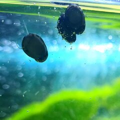 IMG_20210418_210249_625.jpg