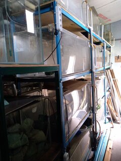 IMG_20200519_120025.jpg
