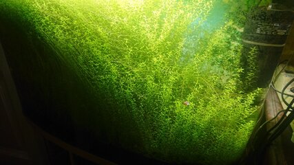 DSC_2343.JPG