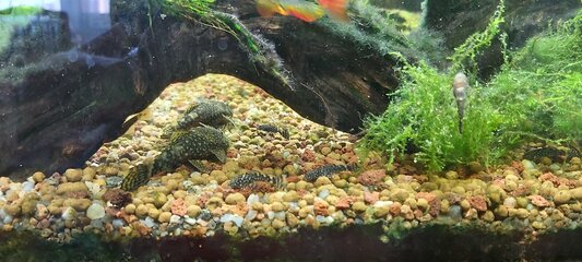 20210702_125517.jpg