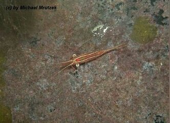 photo_editor_ds_1635956998720.jpg