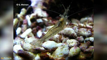28313_L4X7STSDcu.thumb.jpg.6df1a7dd105c855acdc78647d82042e1.jpg
