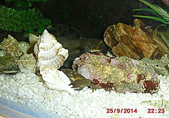 photo_editor_ds_1636059568384.jpg
