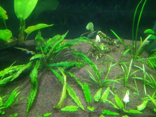IMG_20211105_163540.jpg