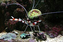 photo_editor_ds_1637404936908.jpg