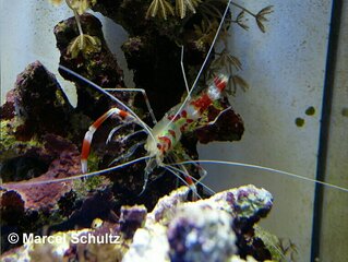 photo_editor_ds_1637437352403.jpg