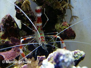 photo_editor_ds_1637437305234.jpg