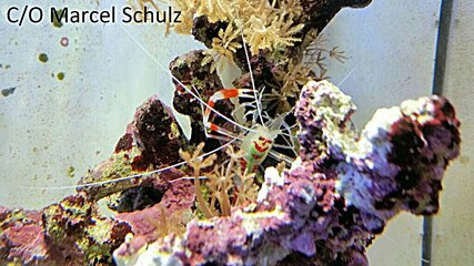 photo_editor_ds_1637437267308.jpg