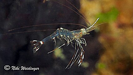 photo_editor_ds_1638473948579.jpg