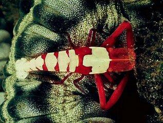 photo_editor_ds_1639043616293.jpg