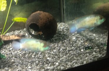 IMG_20220128_071001~2.jpg