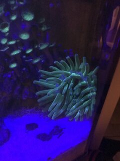 F9946551-7695-49CA-8906-8D20D6E09905.jpeg