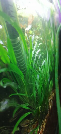 IMG_20220228_184549.jpg