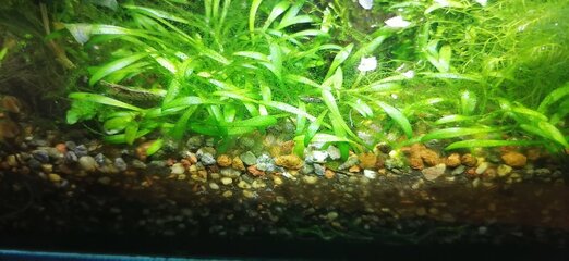 IMG_20220228_184502.jpg