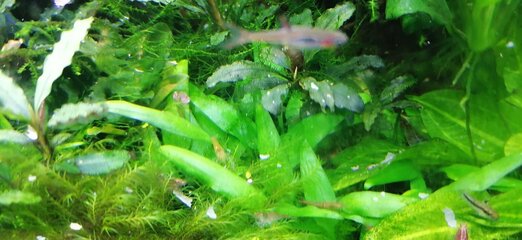 IMG_20220228_184510.jpg