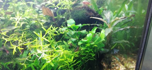 IMG_20220228_184443.jpg