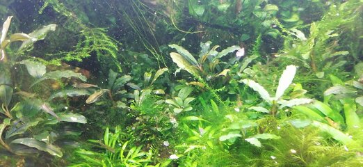 IMG_20220228_184426.jpg