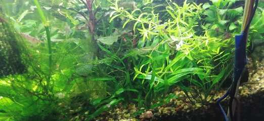 IMG_20220228_184435.jpg