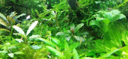 IMG_20220228_184422.jpg