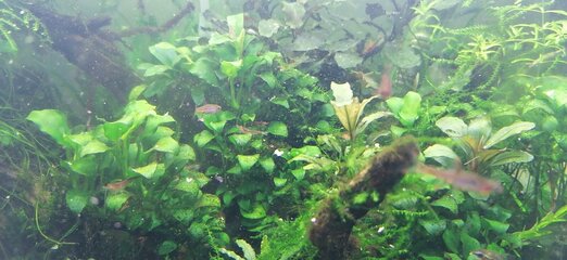 IMG_20220228_184420.jpg