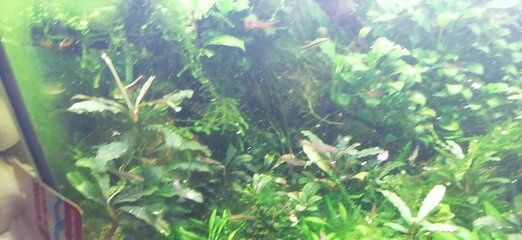 IMG_20220228_184411.jpg