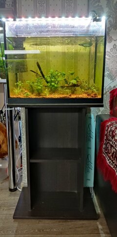 IMG_20220705_180633.jpg