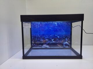 IMG_20220215_121306.jpg