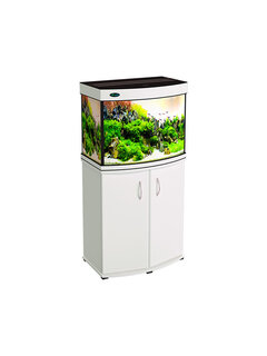 80white-600x800.jpg
